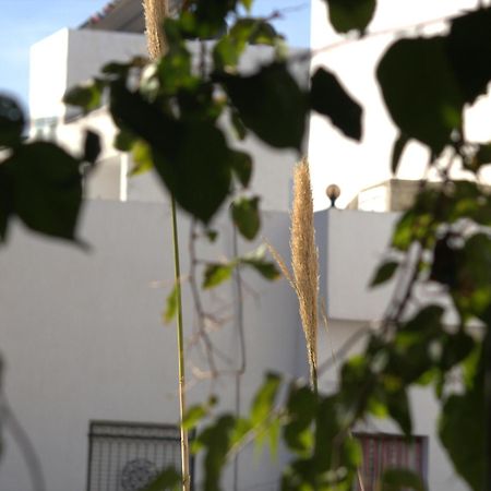Residence Sterne Hammam al Ghazzaz المظهر الخارجي الصورة