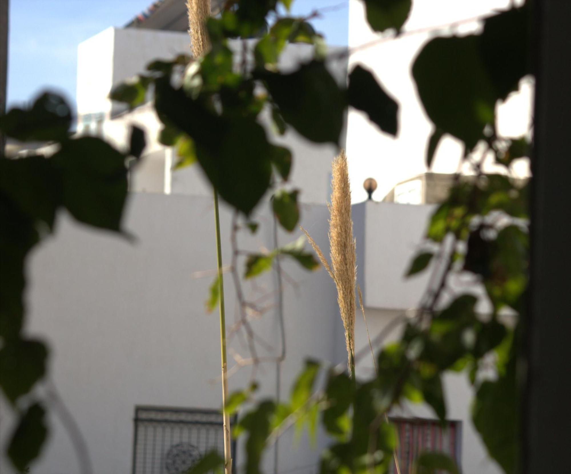Residence Sterne Hammam al Ghazzaz المظهر الخارجي الصورة
